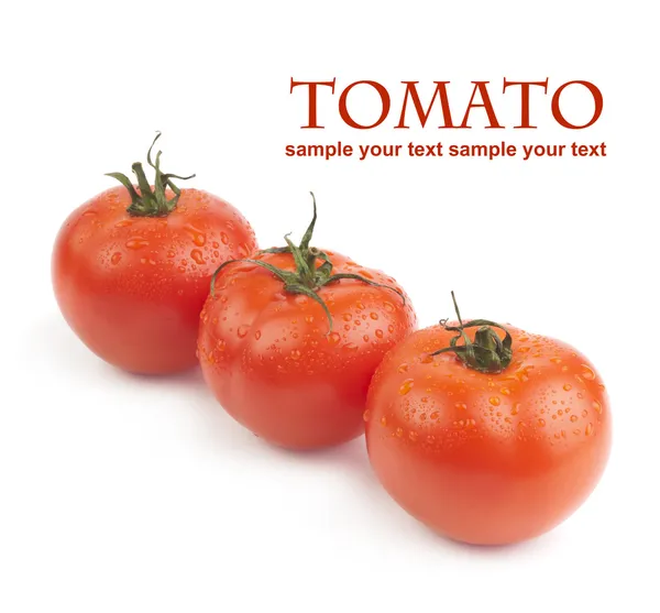 Tomatoes — Stock Photo, Image