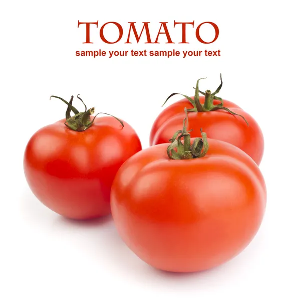 Tomatoes — Stock Photo, Image