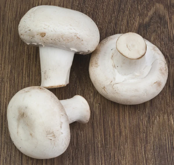 Champignons on a wooden table — Stock Photo, Image