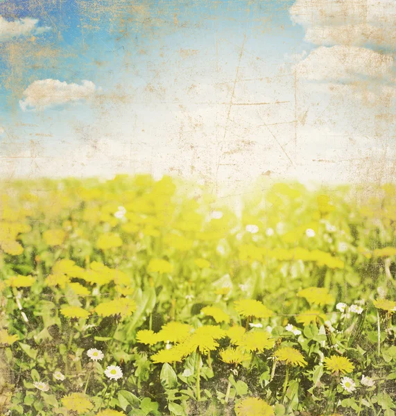 Grungy illustration, beautiful summer landscape — Stock Photo, Image