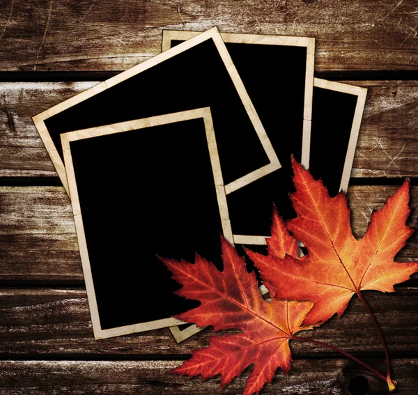 Autumn Leaves and photo frame over wooden background — Stock Photo, Image