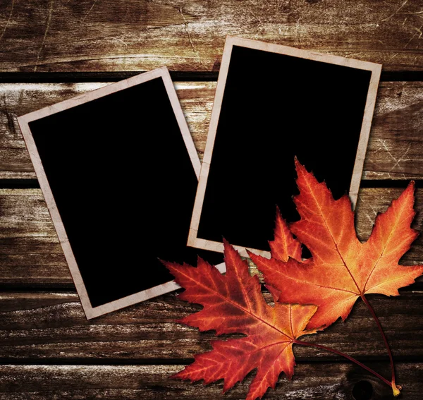Herbstblätter und Fotorahmen über hölzernem Hintergrund — Stockfoto