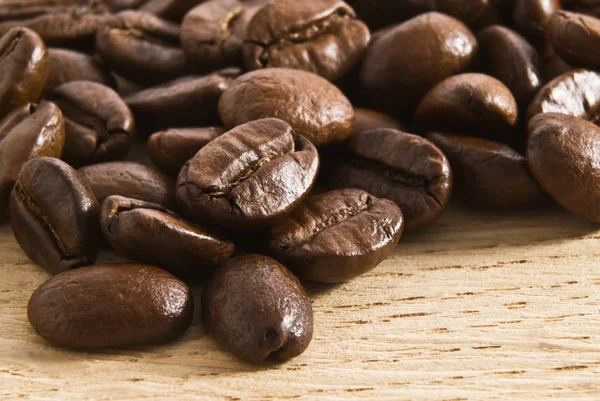 Coffee bean — Stock Photo, Image