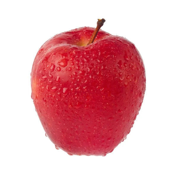 Мокрое красное яблоко изолировано на белом — стоковое фото