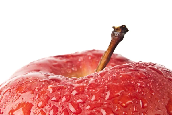 Beyaz izole ıslak Kırmızı elma — Stok fotoğraf