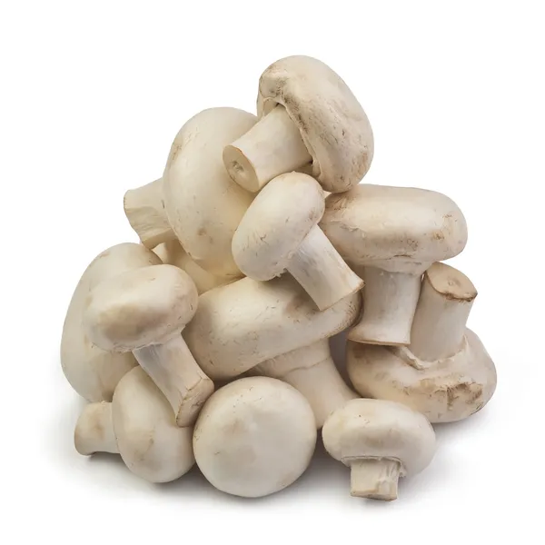 孤立的鲜蘑菇 — 图库照片