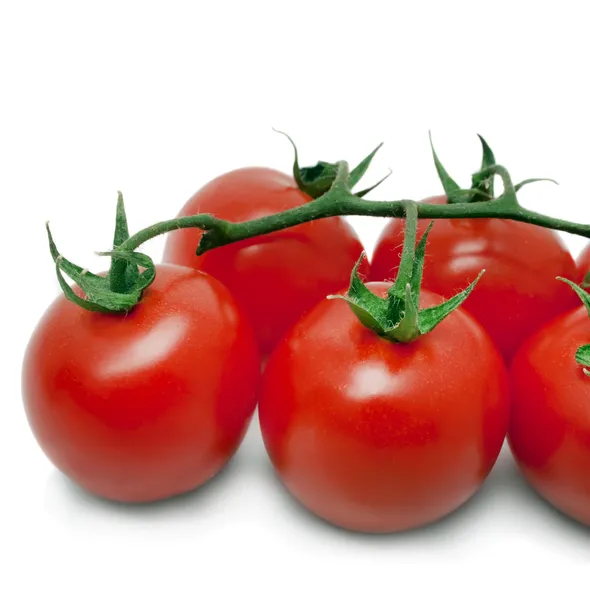 Tomatoes — Stock Photo, Image