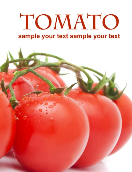 Close-up photo of tomatoes with water drops — Stock Photo, Image