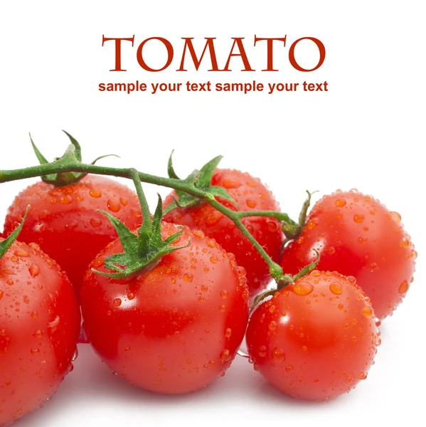 Close-up foto van tomaten met waterdruppels — Stockfoto