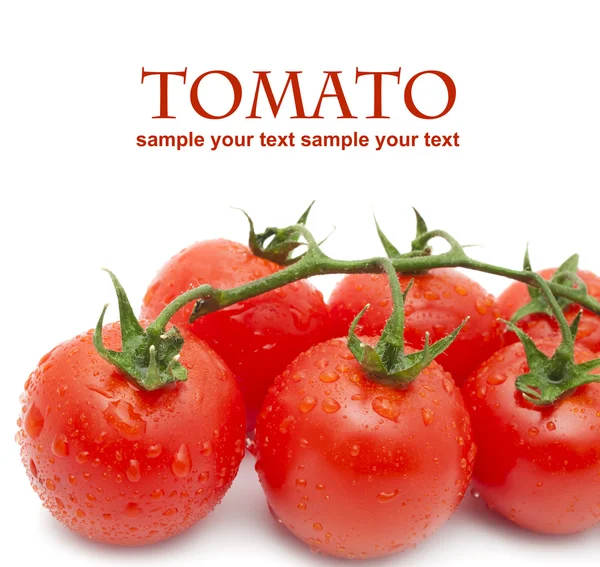 Foto de cerca de tomates con gotas de agua — Foto de Stock