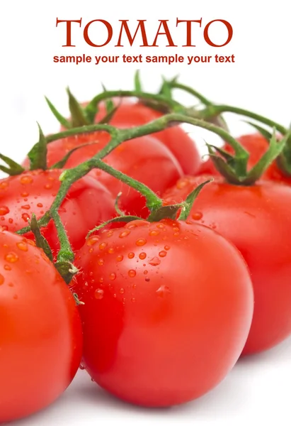 Foto de close-up de tomates com gotas de água — Fotografia de Stock