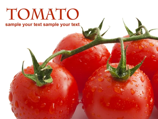 Foto de cerca de tomates con gotas de agua — Foto de Stock