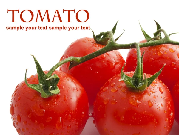 Close-up photo of tomatoes with water drops — Stock Photo, Image