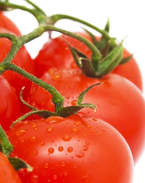 Wirydarz-do góry fotografia pomidorów z kropli wody — Zdjęcie stockowe