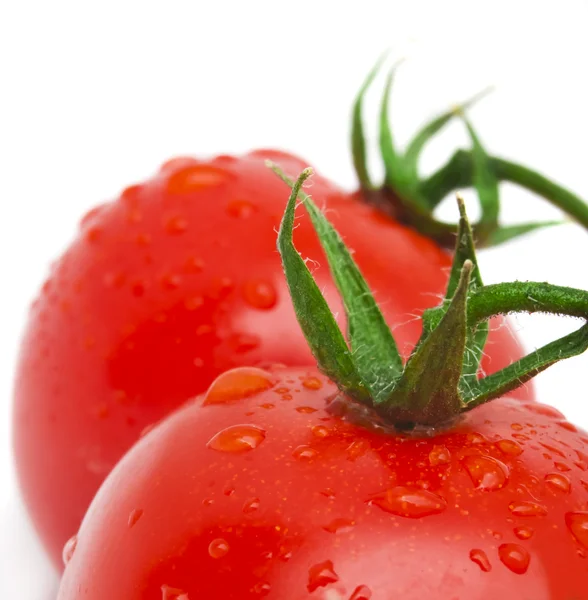Wirydarz-do góry fotografia pomidorów z kropli wody — Zdjęcie stockowe