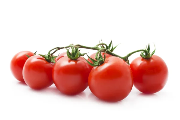 Tomatoes — Stock Photo, Image