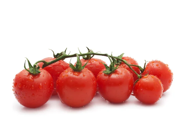 Close-up photo of tomatoes with water drops — Stock Photo, Image