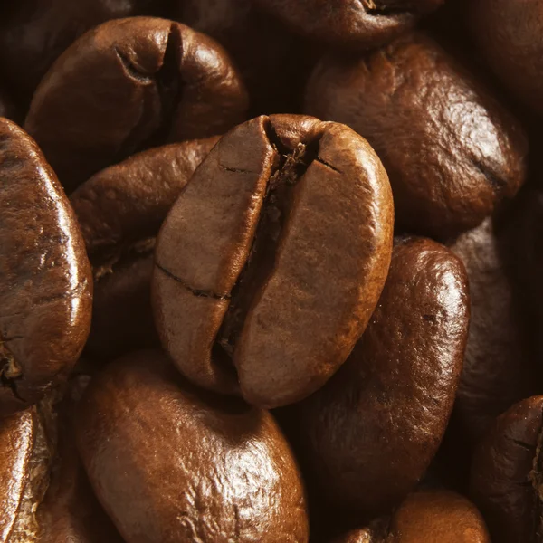 Fragrant fried coffee beans — Stock Photo, Image