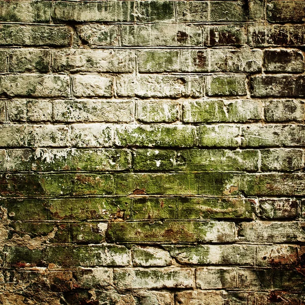 Texture murale en brique — Photo