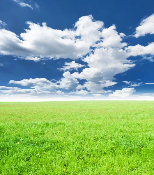 Prado verde sob céu agradável — Fotografia de Stock