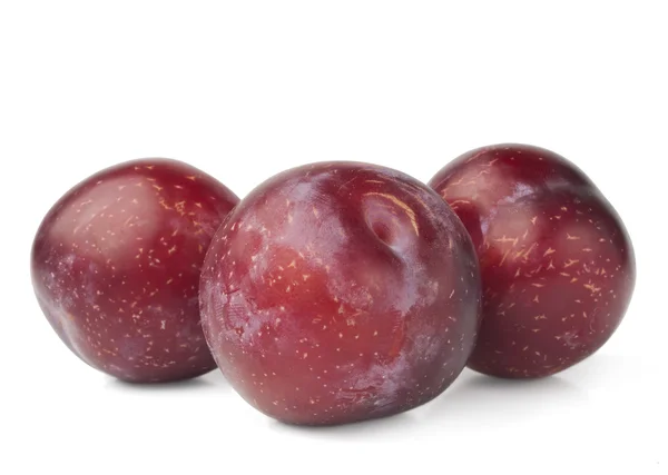 Fruit de prune rouge isolé sur fond blanc — Photo