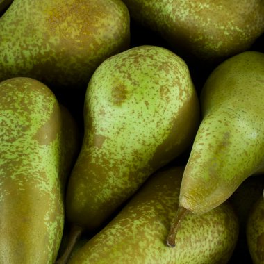 Freshly harvested pears clipart