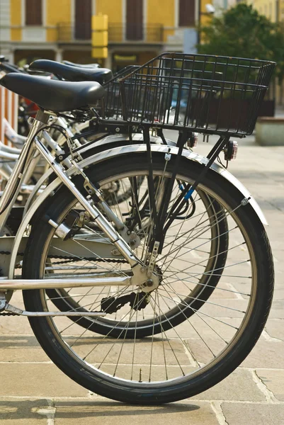 Alquiler de bicicletas en la ciudad estacionadas en fila — Foto de Stock