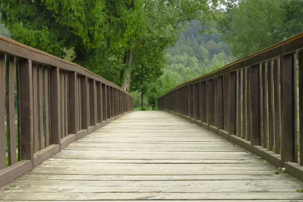 Träbro i parken — Stockfoto