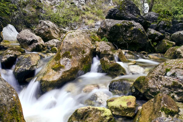 Dağ nehri — Stok fotoğraf