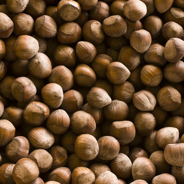 Bakgrund av mogna brun hasselnötter. — Stockfoto