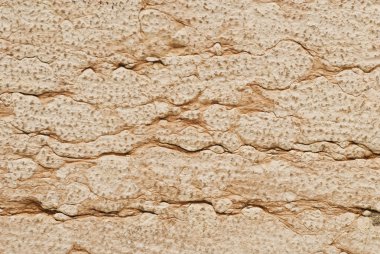 yaşlı çimento duvar dokusu