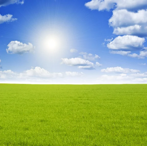 Green meadow under nice sky — Stock Photo, Image