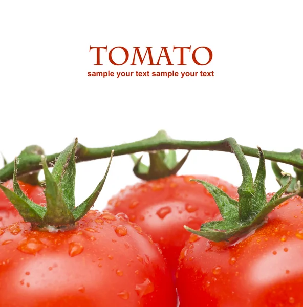 domates suyu damla ile yakın çekim fotoğraf