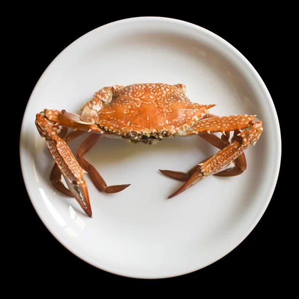 Granchio alimentare sul piatto — Foto Stock