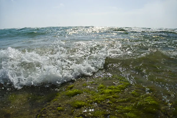 Ondas altas en la superficie del océano —  Fotos de Stock