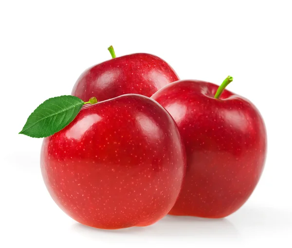 Яблочные фрукты крупным планом на белом фоне — стоковое фото