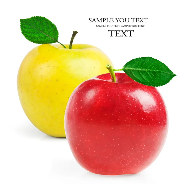 Свежие яблоки на белом фоне — стоковое фото