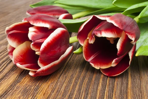 Bouquet de tulipes sur de vieilles planches de bois — Photo