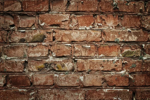 Textura de parede de tijolo velho — Fotografia de Stock