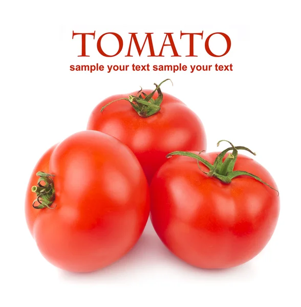 Tomatoes — Stock Photo, Image