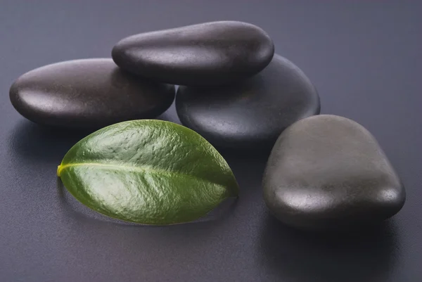 Piedras Zen y planta sobre fondo negro —  Fotos de Stock