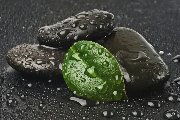 Zen stones and leaves with water — Stock Photo, Image