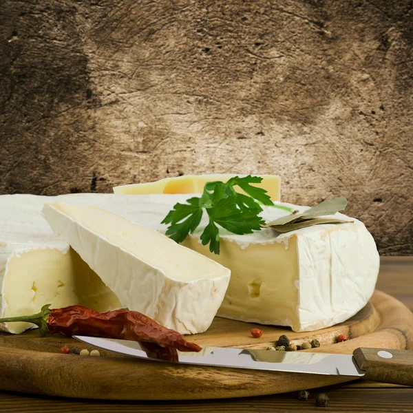 Camembert cheese slice macro shot. Shallow DOF — Stock Photo, Image