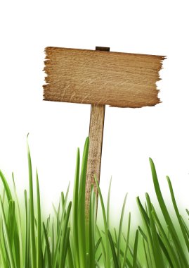 ahşap beyaz bir arka plan üzerinde izole ot işaretiyle