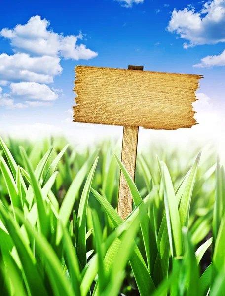 Wooden sign with meadow and blue sky — Stock Photo, Image