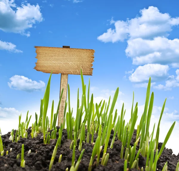 Wooden sign with meadow and blue sky — Stock Photo, Image