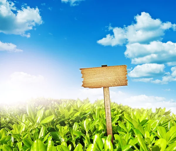 Sinal de madeira com prado e céu azul — Fotografia de Stock
