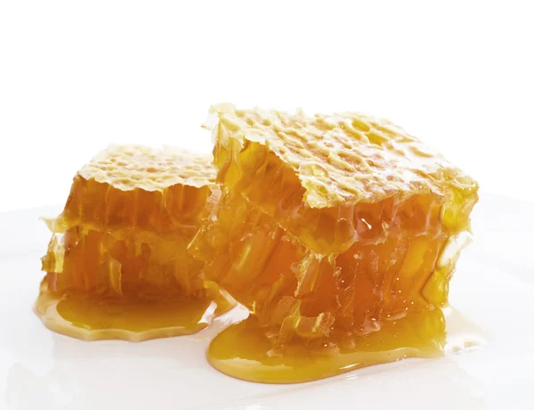 Peine de abeja en plato blanco — Foto de Stock