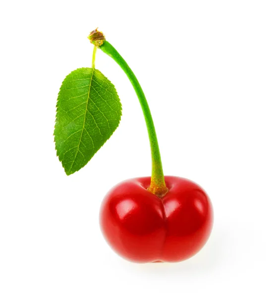 Sweet cherry na białym tle — Zdjęcie stockowe