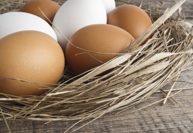 yumurta ile iç içe geçirme